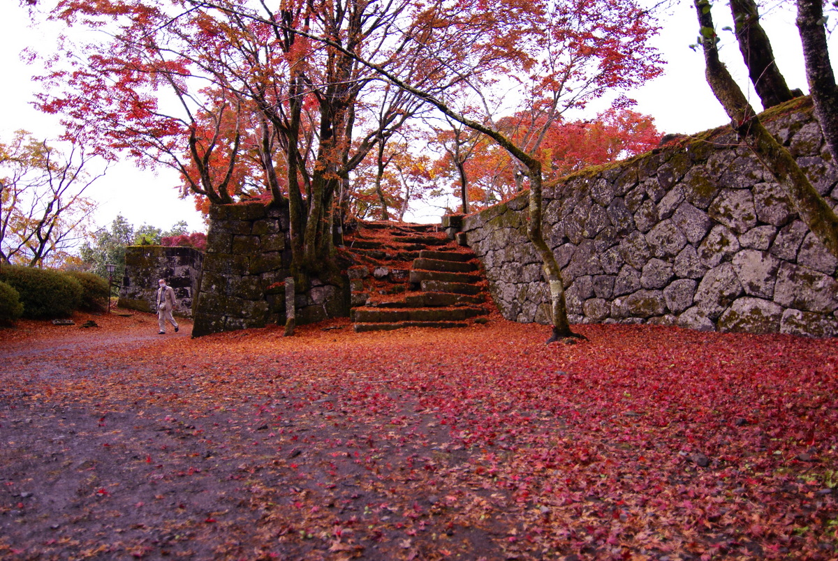 岡城跡　赤い絨毯