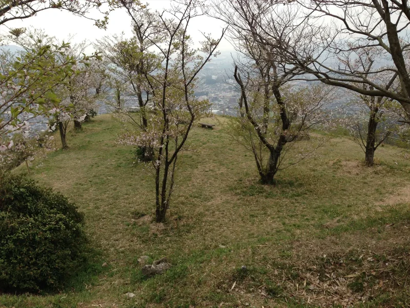 岩屋城跡　桜