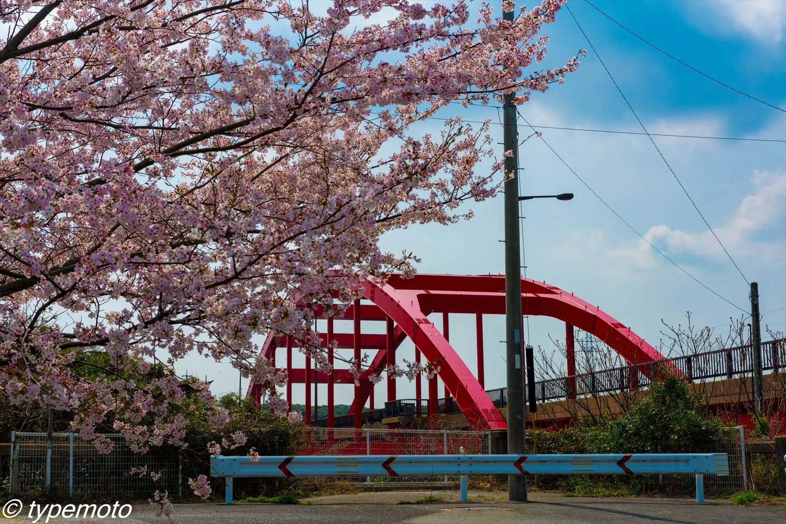 対馬　万関橋　桜