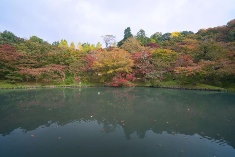 用作公園