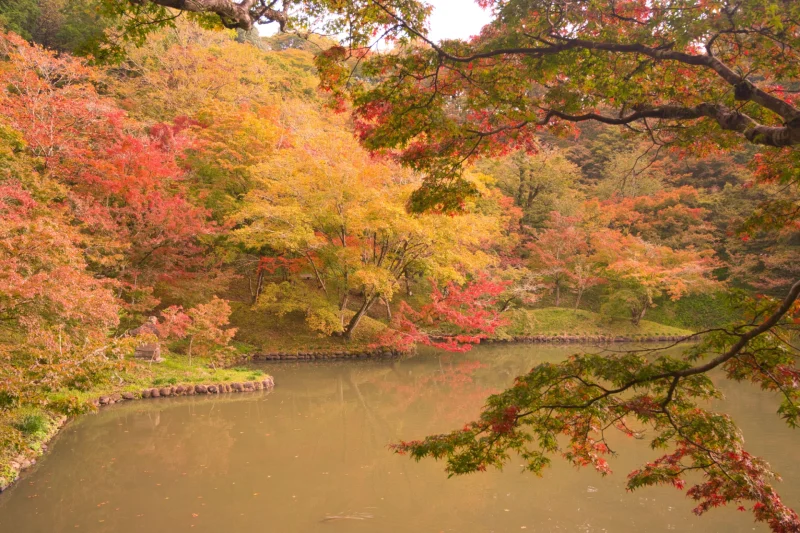 用作公園