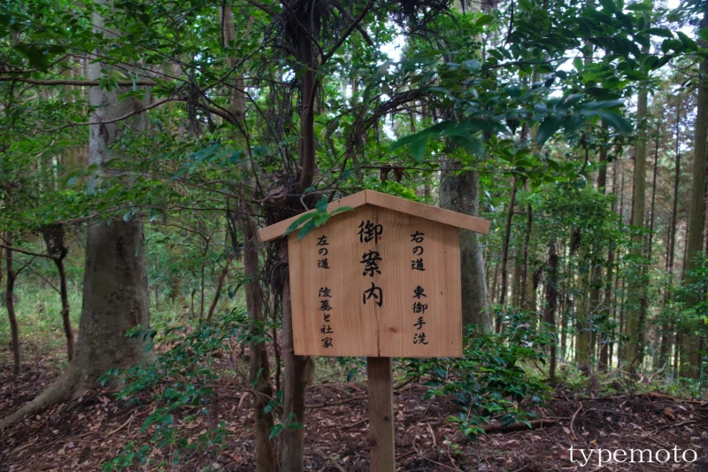 看板分かれ道