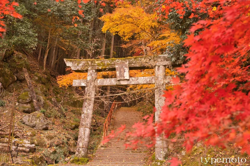 御霊もみじ　鳥居