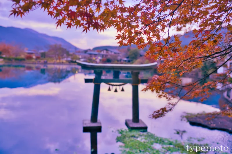 金鱗湖　鳥居