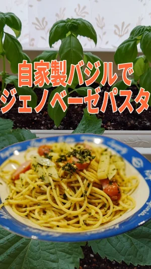 自家製バジルでジェノベーゼパスタ