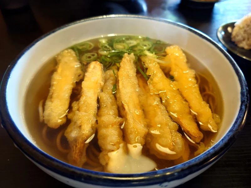 ごぼう天